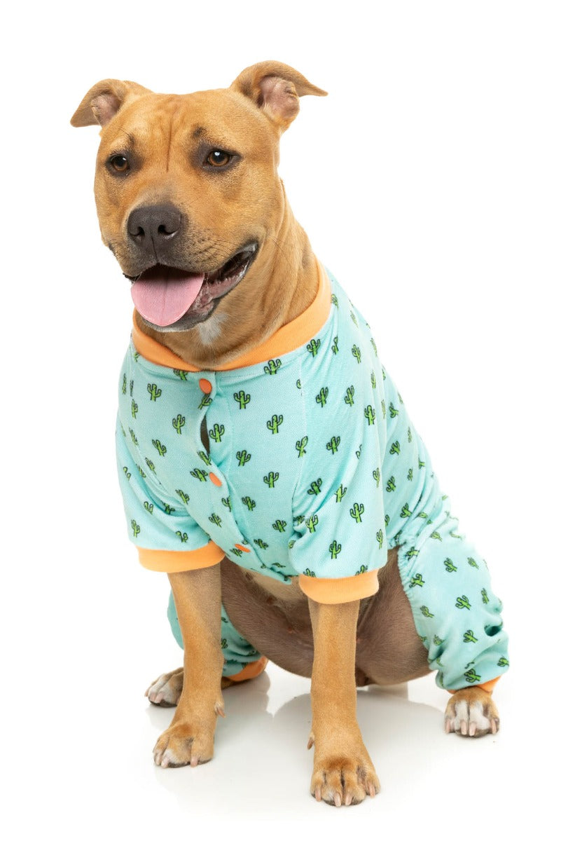 Tucson Pajamas